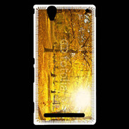 Coque Sony Xperia T2 Ultra automne et rayon de soleil