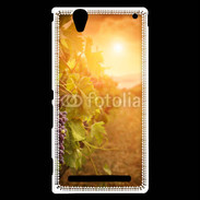 Coque Sony Xperia T2 Ultra Automne, vignes, couché de soleil