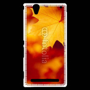 Coque Sony Xperia T2 Ultra feuilles d'automne
