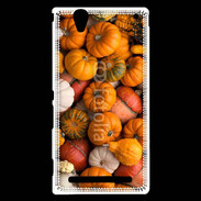 Coque Sony Xperia T2 Ultra fond de citrouilles automne