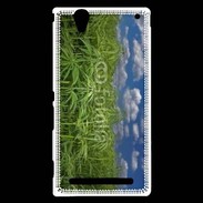 Coque Sony Xperia T2 Ultra Champs de cannabis