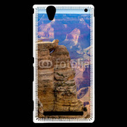 Coque Sony Xperia T2 Ultra Grand Canyon Arizona