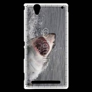 Coque Sony Xperia T2 Ultra Attaque de requin blanc