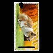 Coque Sony Xperia T2 Ultra Agility Colley