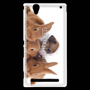 Coque Sony Xperia T2 Ultra Gardien de lapins