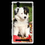 Coque Sony Xperia T2 Ultra Adorable chiot Border collie