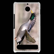 Coque Sony Xperia E1 Canard Colvert 2