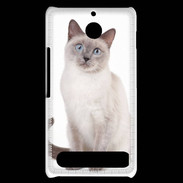 Coque Sony Xperia E1 Chat siamois 25
