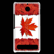 Coque Sony Xperia E1 Canada en feuilles