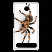 Coque Sony Xperia E1 Araignée tarentule