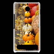Coque Sony Xperia E1 Citrouilles