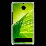 Coque Sony Xperia E1 Feuille écologie