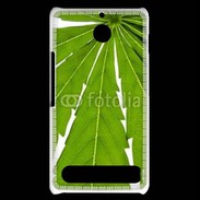 Coque Sony Xperia E1 Feuille de cannabis 4