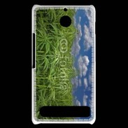 Coque Sony Xperia E1 Champs de cannabis