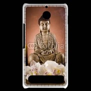 Coque Sony Xperia E1 Zen attitude 64