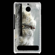 Coque Sony Xperia E1 tempête sur la cote