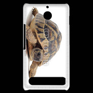 Coque Sony Xperia E1 Tortue Hermann