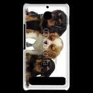 Coque Sony Xperia E1 Chiot King Charles