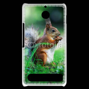 Coque Sony Xperia E1 Ecureuil