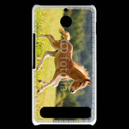 Coque Sony Xperia E1 Poulain dans un champs