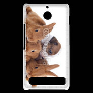Coque Sony Xperia E1 Gardien de lapins