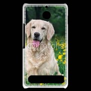 Coque Sony Xperia E1 Portrait de Chien Golden 5