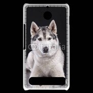 Coque Sony Xperia E1 Chien Husky de Sibérie