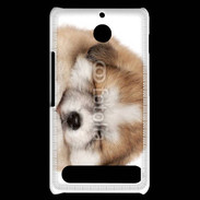 Coque Sony Xperia E1 Chiot chien loup 5