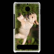 Coque Sony Xperia E1 Chiot labrador 3