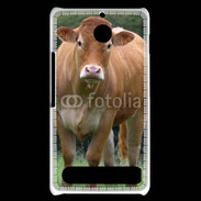 Coque Sony Xperia E1 Vache de race limousine