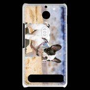 Coque Sony Xperia E1 Bulldog français nain