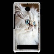 Coque Sony Xperia E1 Magnifique chat persan aux yeux bleus
