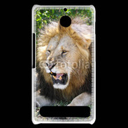 Coque Sony Xperia E1 Portrait de lion 25