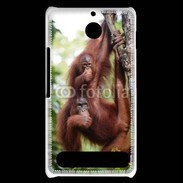 Coque Sony Xperia E1 Famille de singe 50