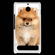 Coque Sony Xperia E1 Chiot Spitz 15