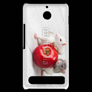Coque Sony Xperia E1 Rats gourmands