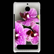 Coque Sony Xperia E1 Belle Orchidée PR