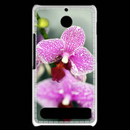 Coque Sony Xperia E1 Belle Orchidée PR 50