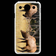 Coque LG G Pro Combat de cerf