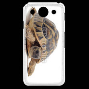Coque LG G Pro Tortue Hermann