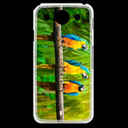 Coque LG G Pro Trois perroquets bleu et jaune
