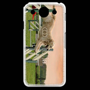 Coque LG G Pro Agility Golden retriever