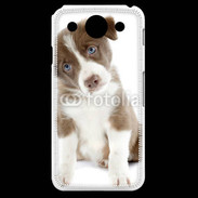 Coque LG G Pro Chiot Colley marron et blanc
