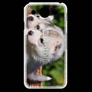 Coque LG G Pro Chiot Husky de Sibérie 3