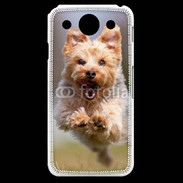 Coque LG G Pro Yorkshire terrier 6