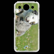 Coque LG G Pro Chiot blanc et gris 1