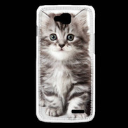 Coque LG L90 Chaton gris 