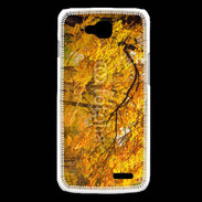 Coque LG L90 Arbres en automne