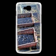 Coque LG L90 Conchyliculteur