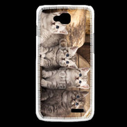 Coque LG L90 Chaton gris 2